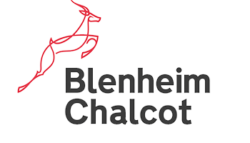Blenheim Chalcot